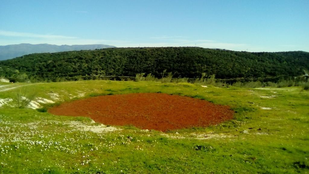 Apartamento O Casa Rural Roquemar Guijo de Granadilla ภายนอก รูปภาพ